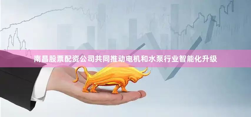 南昌股票配资公司共同推动电机和水泵行业智能化升级