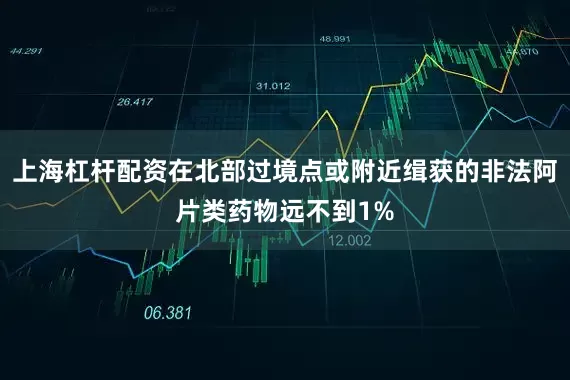 上海杠杆配资在北部过境点或附近缉获的非法阿片类药物远不到1%