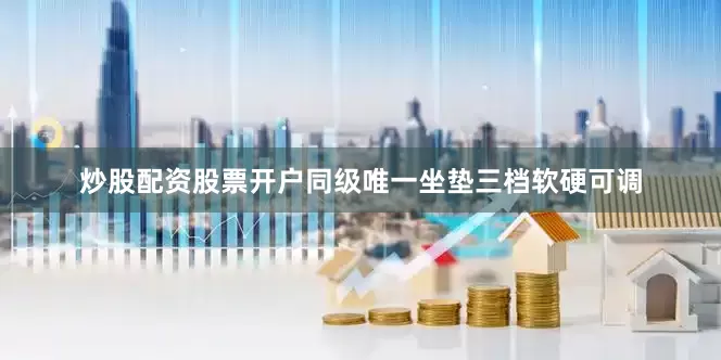 炒股配资股票开户同级唯一坐垫三档软硬可调