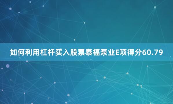 如何利用杠杆买入股票泰福泵业E项得分60.79