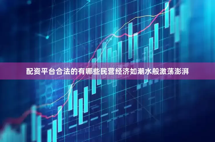 配资平台合法的有哪些民营经济如潮水般激荡澎湃