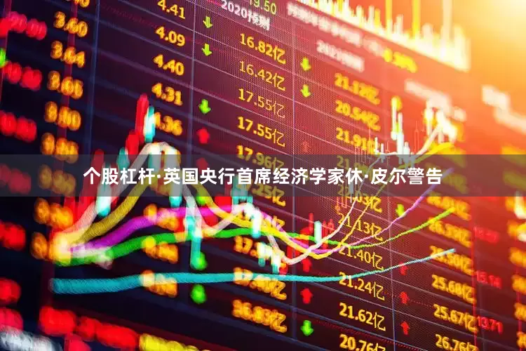 个股杠杆　　·英国央行首席经济学家休·皮尔警告