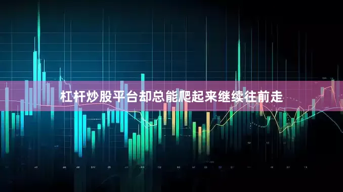 杠杆炒股平台却总能爬起来继续往前走