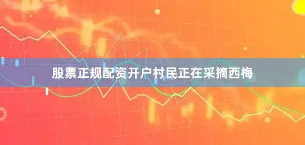 股票正规配资开户　　村民正在采摘西梅